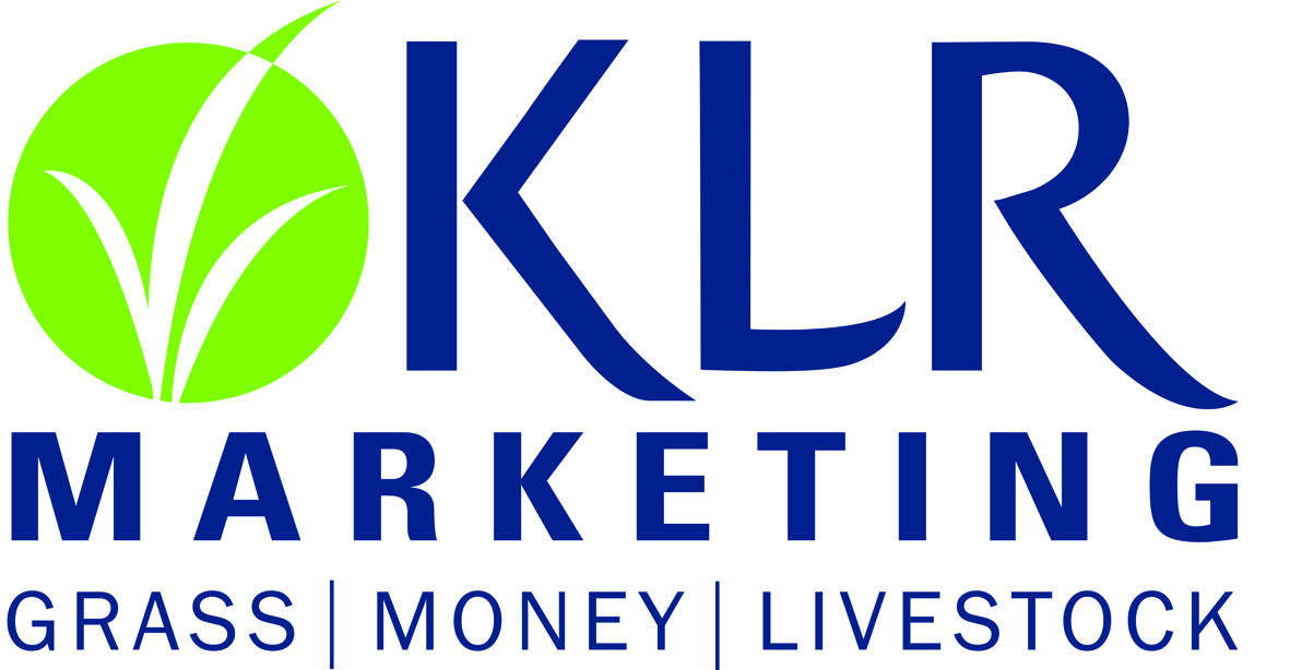 Welcome to KLR Marketing